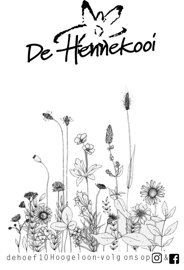 de hennekooi